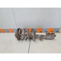 Амортизатор передний Nissan Murano Z50,TZ50,PZ50,PNZ50 2007 E4302CC40A