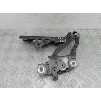 Петля капота левая BMW 3-Series F30 2011 - 2018 2013 13989610