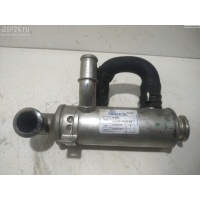 Охладитель отработанных газов Peugeot 307 2006 0000161863, 161863