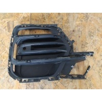 Заглушка (решетка) в бампер передний BMW X5 G05 2019 51117449688