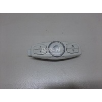 Плафон салонный Ford Kuga (2012 - 2019) 2053618