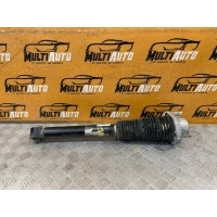 Амортизатор Задн. Land Rover Discovery 5 2020 LR081568
