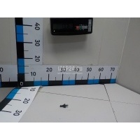 Крепеж газового упора VAG Passat [B8] 2015 WHT006581A