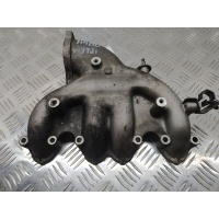 Коллектор впускной Audi A4(B6) 2003 038129713AJ