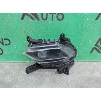 ПТФ Hyundai Santa Fe 4 TM 2018-нв 92201S1100