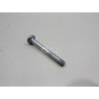 Болт VAG Allroad quattro (2000 - 2005) 8D0845643G