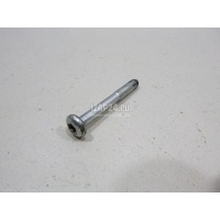 Болт VAG Allroad quattro (2000 - 2005) 8D0845643G