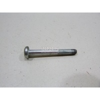Болт VAG Allroad quattro (2000 - 2005) 8D0845643G