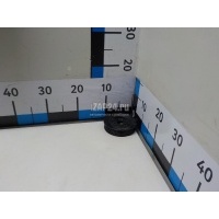 Шкив водяного насоса (помпы) Ford KA (1996 - 2008) 1089808