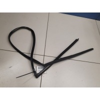 Уплотнитель стекла передней левой двери Ford Fiesta Mk6 2008-2019 1761854