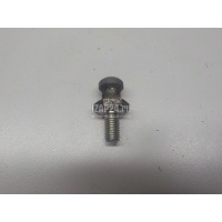 Палец вилки сцепления VAG A3 [8PA] Sportback (2004 - 2013) 02A141777B