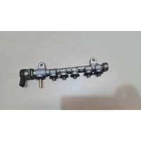 Рейка топливная (рампа) Nissan Pathfinder (R51) (2005 - 2014) 1752000Q2L