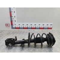 Стойка амортизатора переднего правого Renault Clio 3 (-) 2008 8200676026