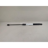 Амортизатор двери багажника VAG Q7 [4L] (2005 - 2015) 4L0827552C