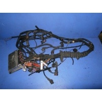 Проводка двигателя Audi A6 C5/4B 1998 8D0907401G