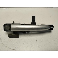 Корпус (держатель) ручки двери передней левой Renault Laguna II (2001-2007) 2006 8200452519