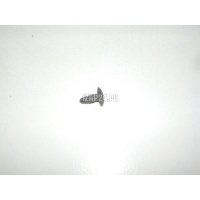 Крепеж (клоп) Nissan Primera P12E (2002 - 2007) 0155301A50