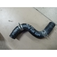 Патрубок радиатора Suzuki JIMNY JB23W 17841-81AA0