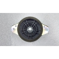 Динамик Lexus NX300H AYZ15 2020 8616078020