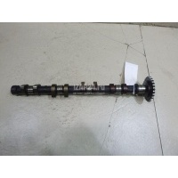 Распредвал выпускной Hyundai-Kia Trajet (2000 - 2009) 2420023550