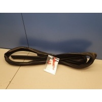 Уплотнитель стекла двери задний правый Skoda Roomster 2006-2015 5J7839432C