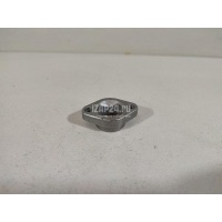 Крепеж форсунки BMW 1-serie F20/F21 (2011 - 2019) 13538642294