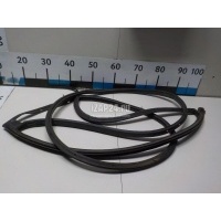 Уплотнитель двери Ssang Yong Rodius (2005 - 2013) 7314021000