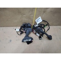 Проводка двери задней правой Audi A6 Allroad C6_Restyling 2010 4F1971687AL,4F1971687E,4F1971693G