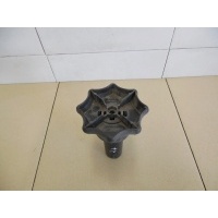 Болт крепления запасного колеса Audi A3 (8L1) 1996-2003 8L0803899B