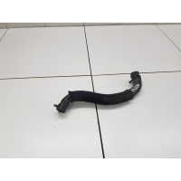 Патрубок системы охлаждения Chery Tiggo 7 Pro 2020- T151303417CA