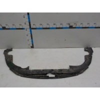 Дефлектор радиатора Hyundai Genesis 2009- 863433M000