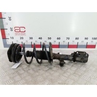 Стойка амортизатора переднего правого (МакФерсон) Renault Modus (2004-2012) 2006 ,8200675732