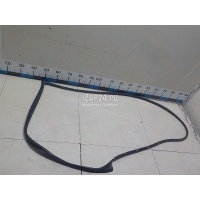 Уплотнитель двери Hyundai-Kia Tucson 2021 82140N7000