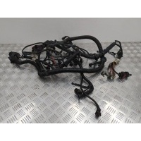 Проводка двигателя Opel Astra (H) 2005 55352107