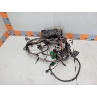Проводка подкапотная Ford Focus 2, CB4, DA3 2011 1716791