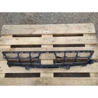Заглушка (решетка) в бампер передний BMW X5 G05 2019 51117421805