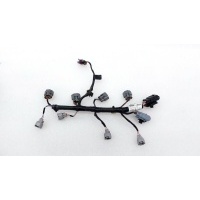Проводка двигателя Renault Arkana JC 2021 242593767R, 2425900QAA
