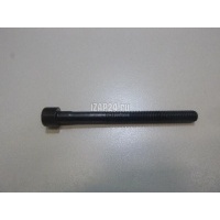 Болт головки блока Nissan Note (E11) (2006 - 2013) 11056AX000