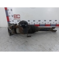 Пневмоподушка задняя левая Audi A8 D3 (2002-2010) 2003 4E0616001F,4E0616001S