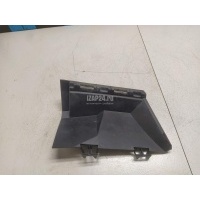 Накладка (кузов наружные) Renault Clio II/Symbol (1998 - 2008) 8200445995
