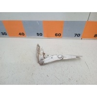 Петля капота Mercedes-Benz Sprinter W901, W902, W903 A9017500451