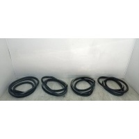уплотнитель двери Renault Laguna 3 2009 808330001R,769240001R