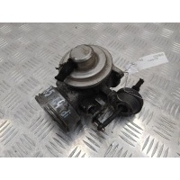 Клапан EGR Volkswagen Passat B5+ (GP) 2002 038131501AL