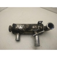 Охладитель отработанных газов Peugeot 307 2005 0000161863, 307