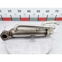 Радиатор системы ЕГР Volkswagen Passat 5 GP (2000-2005) 2003 ,038131513H
