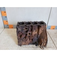 Блок цилиндров Nissan Pathfinder R51 2006 10103EB30A