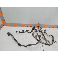 Проводка двигателя коса Volkswagen Passat B6, 3C2 06F972619AE