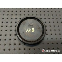 Заглушка Volkswagen Passat B5 2001 038105278