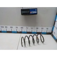 Пружина задняя Renault Duster 2012 550202720R