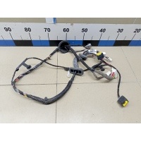 Проводка (коса) NISSAN Qashqai (J10) 2006-2014 24124JD10D